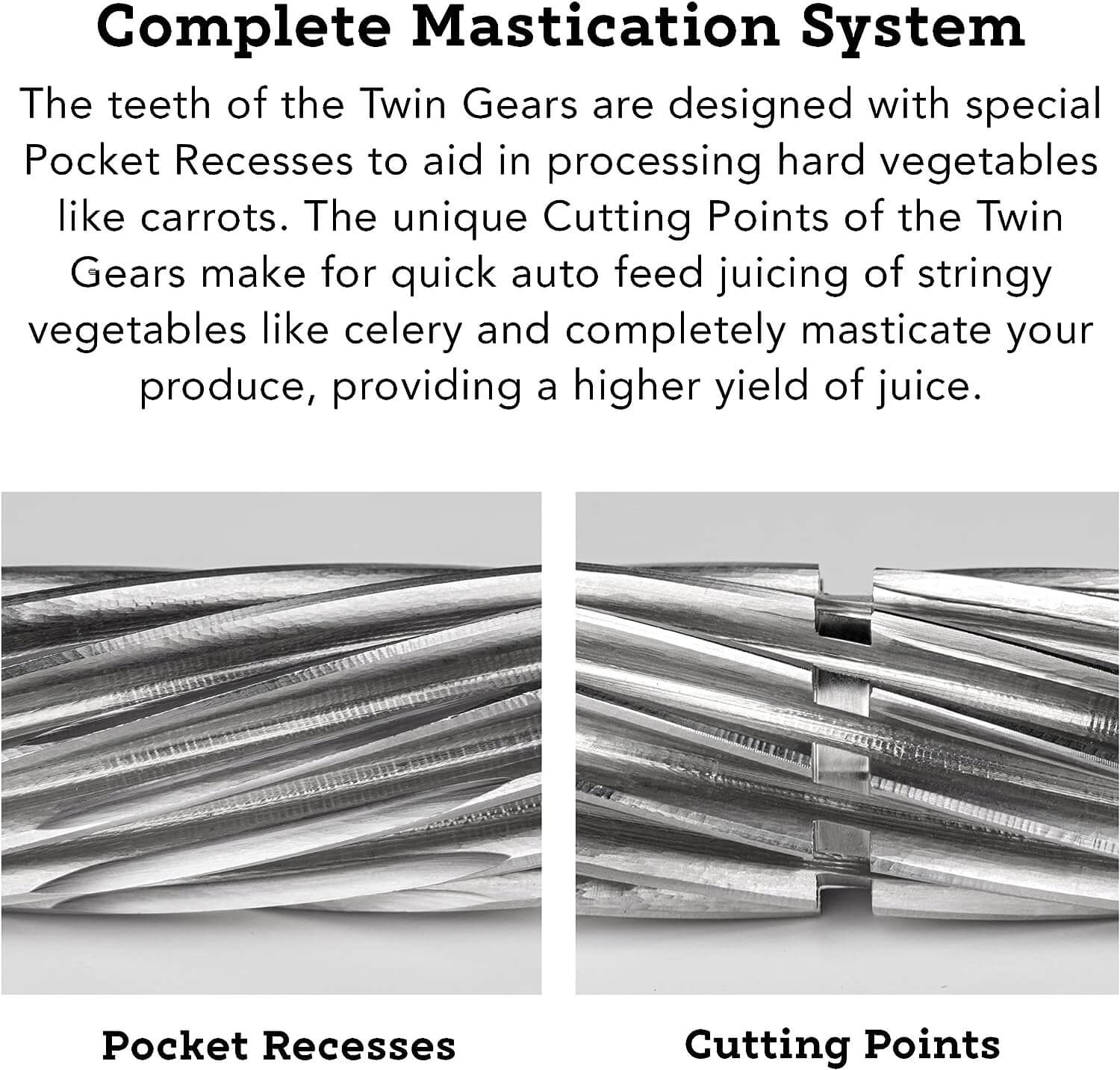 mastication - greenstar